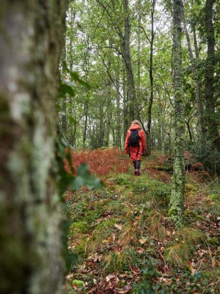 Choisir une activité antistress : votre psychologue vous aide à arrêter de fumer