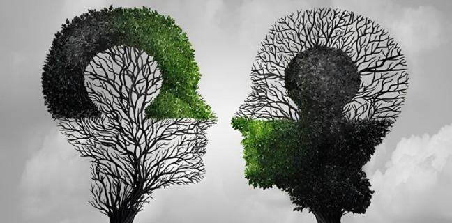 Cabinet psychologie Cabinet psychologie