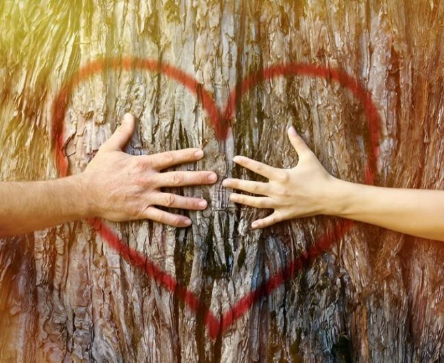 thérapie troubles sexuel